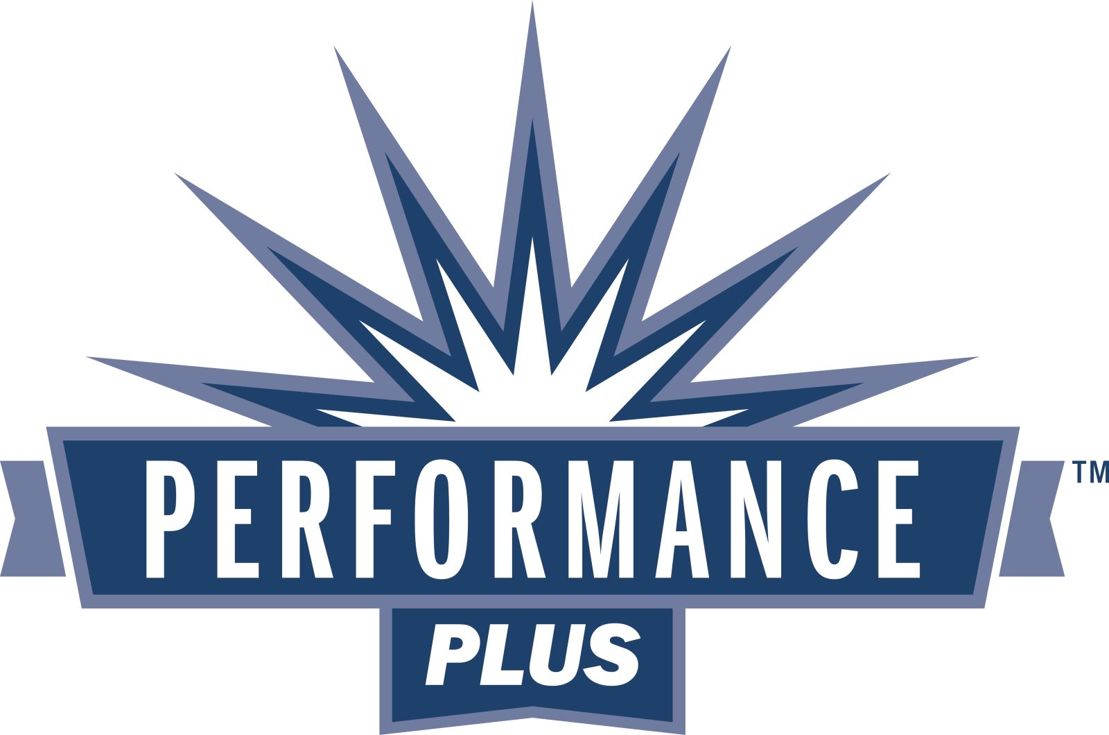 PERFORMANCE PLUS